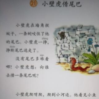 21小壁虎🦎借尾巴