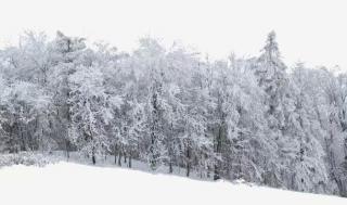 美丽的祁连山之十--雪【作者：吴浩】