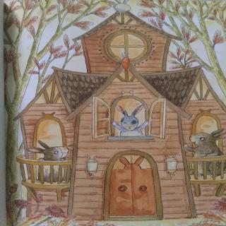 兔子🐰和木房子🏠