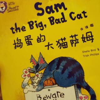 《Big cat》大猫三级《Sam the big bad cat》