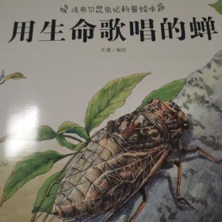 《用生命唱歌的蝉》