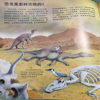 十月姐姐讲故事～恐龙是怎样灭绝的？