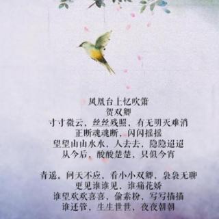 从今后，酸酸楚楚，只似今宵｜在水