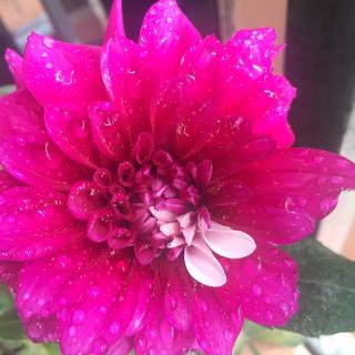 粤语频道:《这个冬天不太冷》作者:屈颖妍