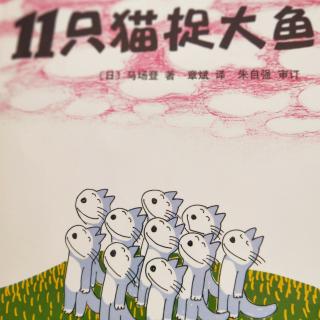 《十一只猫捉大鱼》