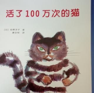 活了100万次的猫