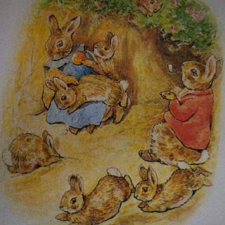 弗洛浦西家的小兔们的故事