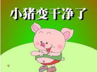 小猪🐷变干净了