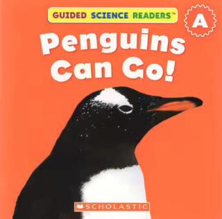 海豚晚安故事会 Penguins Can Go!