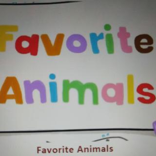 favorite animals