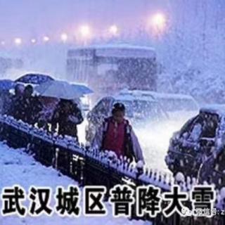 武汉，下雪了（健鹰）