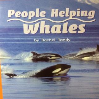 G2 Approach U1W4 - People Helping Whales