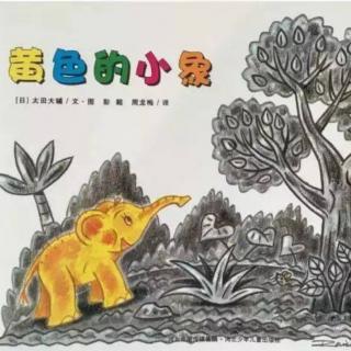 苗妈讲故事｜NO.800《黄色的小象》