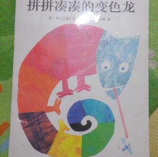 市直幼大一班刘锡垚《拼拼凑凑变色龙》