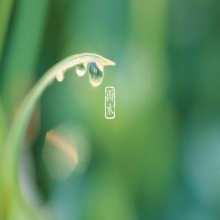 读《春夜喜雨》雨水