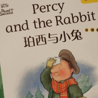 《Big cat》大猫三级《Percy and the rabbit》