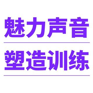 《魅力声音的11条信念》