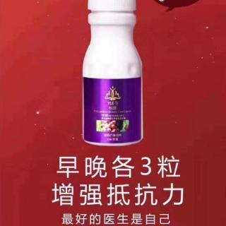 皮肤生理学之网状层