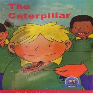 99 The caterpillar故事讲解