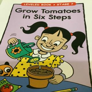 LB-102-G-《Grow Tomatoes in six steps》