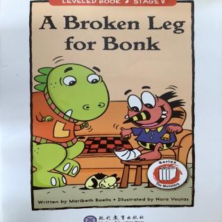 LB-103-I-《A Broken Leg  for Bonk》💖