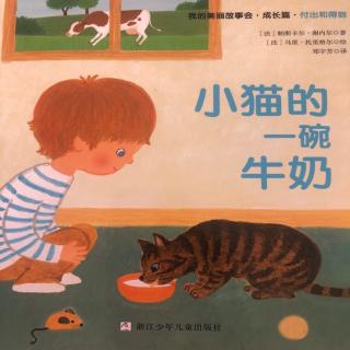 小猫的一碗牛奶