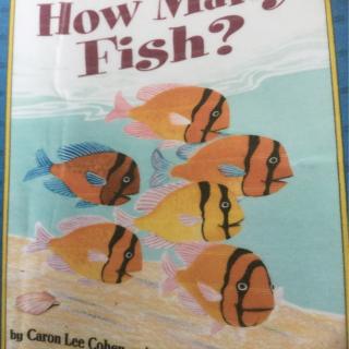How Many Fish w1