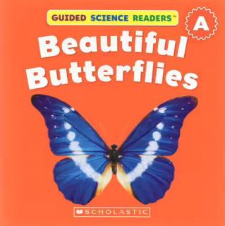 海豚晚安故事会Beautiful Butterflies