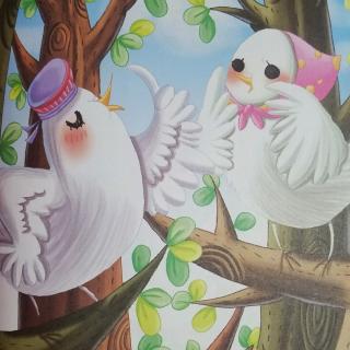 《两只鸽子🐦🐦》