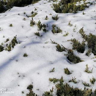 《第一场雪》作者：天涯沦落人   朗诵：37度～女人