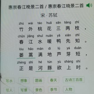 惠崇春江晚景宋苏轼22号宋月彤