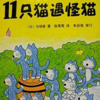 15《11只猫遇怪猫》