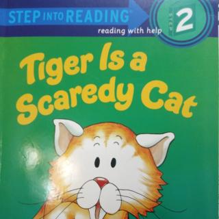 Tiger   Is  a  Scaredy  Cat   1