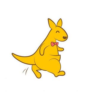 用心说送快递的袋鼠先生