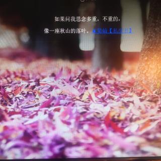 5语下《月是故乡明》作者 季羡林 朗读与赏析  孟红进