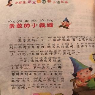 《勇敢的小裁缝》