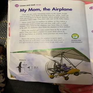 My Mom,the Airplane