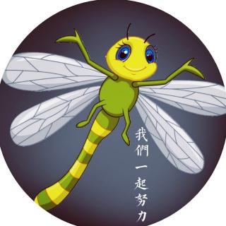 做一只快乐的蜻蜓     文/孙中伟