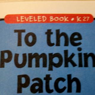To The Pumpkin Patch