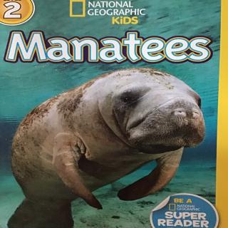 Manatees