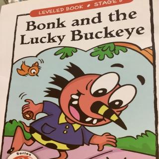 LB-104-I-《Bonk and the Lucky Buckeye》💛