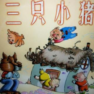 睡前故事 《三只小猪盖房子》爱育幼童赋予孩子一生幸福的能力！