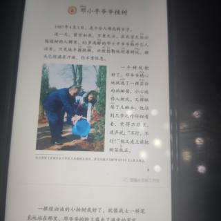 邓小平爷爷植树