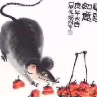 我与小乌龟