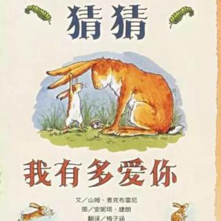 《猜猜我有多爱你》