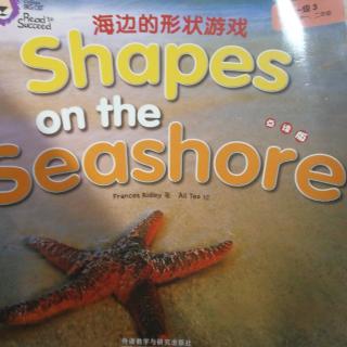Shapes  on  the  seashore
