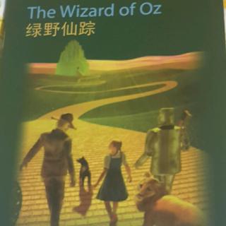 The Wizard of Oz  (22----29)
