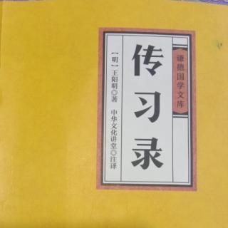 《传习录·薛侃录》-王阳明