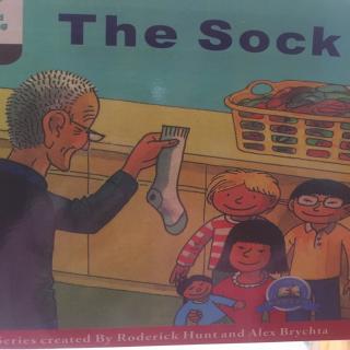 100 The Sock故事讲解