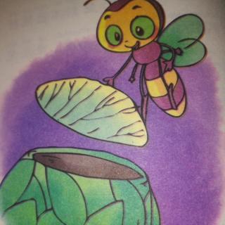 切叶蜂画法图片